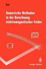 Numerische Methoden in der Berechnung elektromagnetischer Felder af Arnulf Kost