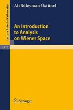 An Introduction to Analysis on Wiener Space af Ali S. Ustunel