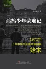 鸿鹄少年蒙难记
