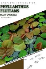 Phyllanthus fluitans af Iva Novitsky