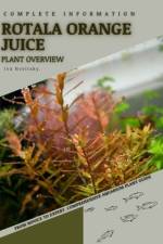 Rotala Orange Juice af Iva Novitsky