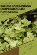 Bacopa Caroliniana (amplexicaulis) af Iva Novitsky