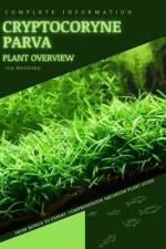 Cryptocoryne Parva af Iva Novitsky