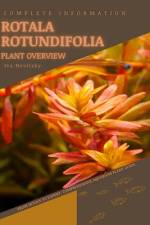 Rotala Rotundifolia af Iva Novitsky