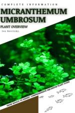 Micranthemum Umbrosum af Iva Novitsky