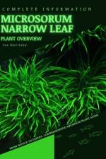 Microsorum Narrow Leaf af Iva Novitsky