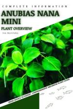 Anubias Nana Mini af Iva Novitsky
