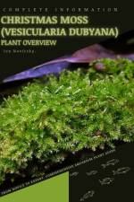 Christmas Moss (Vesicularia dubyana) af Iva Novitsky