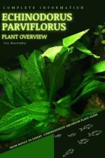 Echinodorus parviflorus af Iva Novitsky