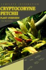 Cryptocoryne Petchii af Iva Novitsky