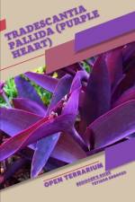 Tradescantia pallida (Purple Heart) af Tetiana Sabanen