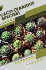 Cacti (various species) af Tetiana Sabanen