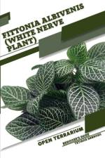 Fittonia albivenis (White Nerve Plant) af Tetiana Sabanen