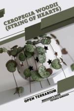 Ceropegia woodii (String of Hearts) af Tetiana Sabanen