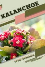 Kalanchoe af Tetiana Sabanen