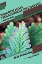 Peacock Moss (Selaginella uncinata) af Tetiana Sabanen