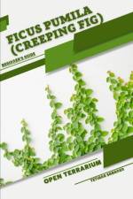 Ficus pumila (Creeping Fig) af Tetiana Sabanen