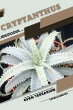 Cryptanthus af Tetiana Sabanen