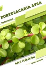 Portulacaria afra af Tetiana Sabanen