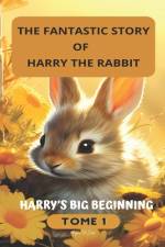 Harry's Big Beginnings af Hugues de Coster