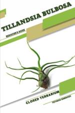 Tillandsia bulbosa af Tetiana Sabanen