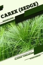 Carex (Sedge) af Tetiana Sabanen