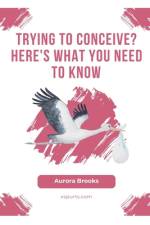 Trying to Conceive? Here's What You Need to Know af Aurora Brooks
