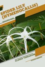 Spider Lily (Hymenocallis) af Tetiana Sabanen