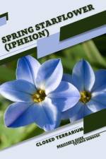 Spring Starflower (Ipheion) af Tetiana Sabanen