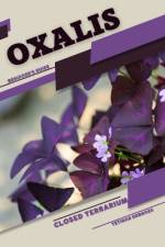 Oxalis af Tetiana Sabanen