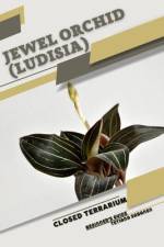 Jewel Orchid (Ludisia) af Tetiana Sabanen
