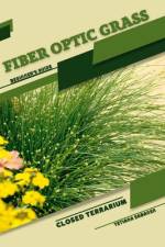 Fiber Optic Grass af Tetiana Sabanen