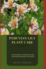 Peruvian Lily Plant Care af Uriah Sekani