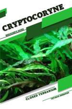 Cryptocoryne af Tetiana Sabanen