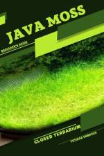Java Moss af Tetiana Sabanen