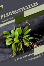 Pleurothallis af Tetiana Sabanen