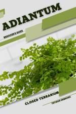 Adiantum af Tetiana Sabanen