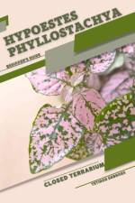 Hypoestes phyllostachya af Tetiana Sabanen