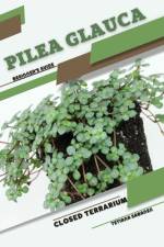 Pilea glauca af Tetiana Sabanen