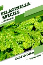 Selaginella Species af Tetiana Sabanen
