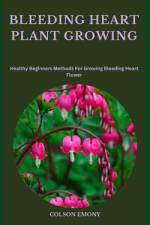 Bleeding Heart Plant Growing af Colson Emony