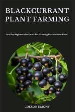 Blackcurrant Plant Farming af Colson Emony