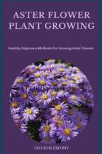 Aster Flower Plant Growing af Colson Emony