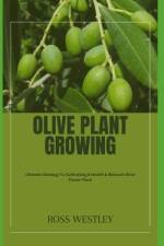 Olive Plant Growing af Ross Westley