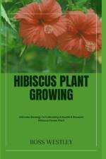 Hibiscus Plant Growing af Ross Westley