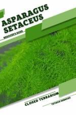 Asparagus setaceus af Tetiana Sabanen