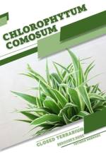 Chlorophytum comosum af Tetiana Sabanen