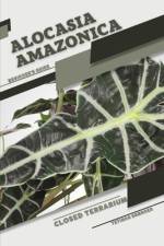 Alocasia amazonica af Tetiana Sabanen