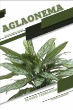 Aglaonema af Tetiana Sabanen