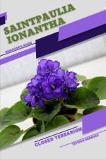 Saintpaulia ionantha af Tetiana Sabanen